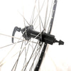 28 Zoll Hinterrad Hohlkammer Geöst Hohlachse mit Shimano Kranz 7/8-fach + Kette, schwarz-silber
